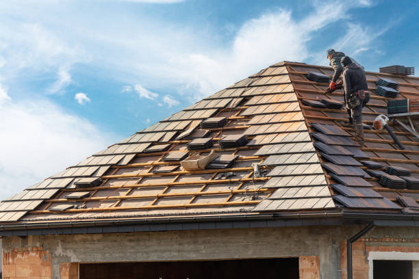 Best Tile Roofing Installation  in Newport, TN